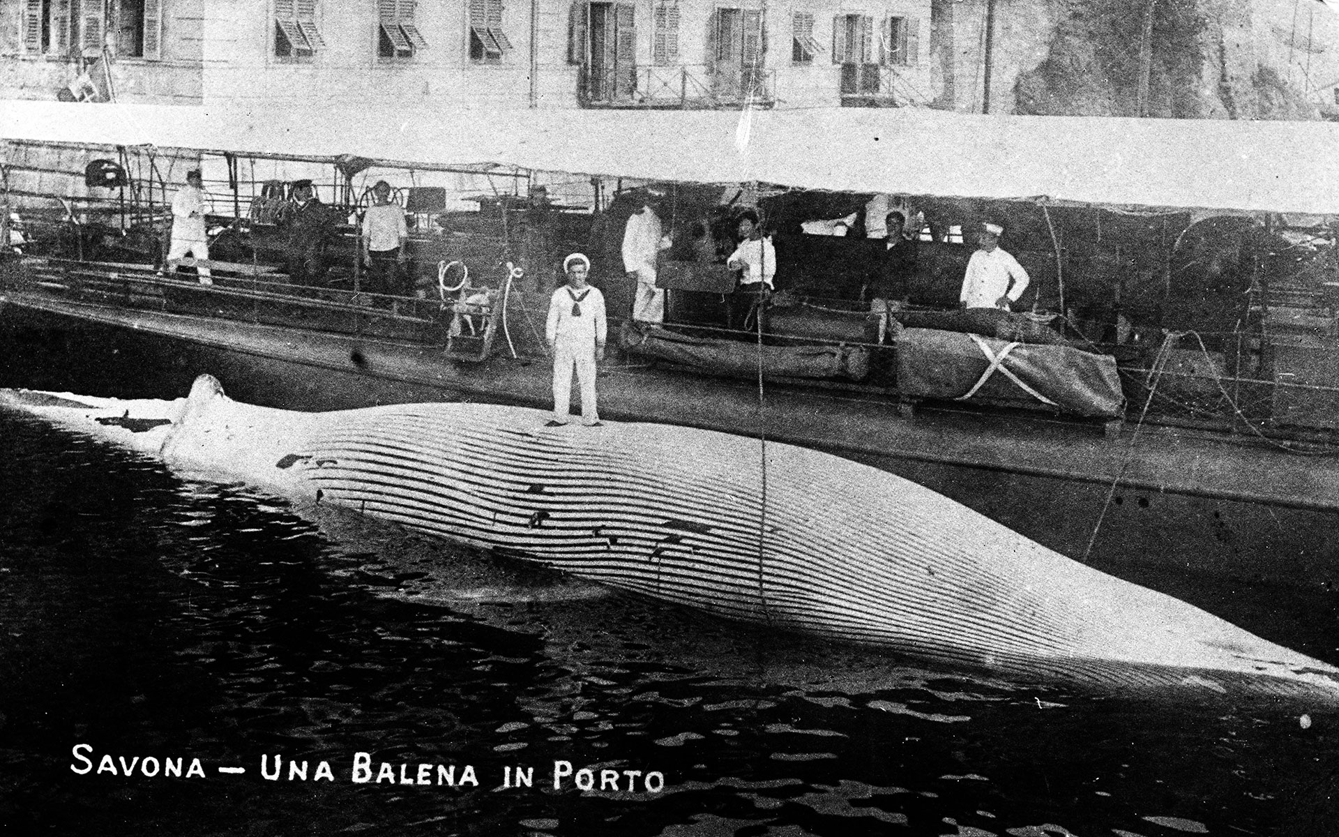 Il primo carnevale savonese