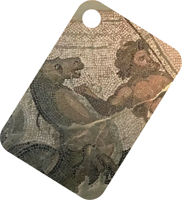 Museo Archeologico e della città di Savona